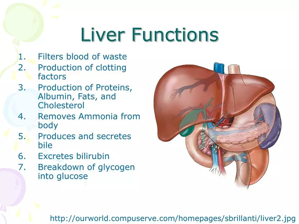 Teriflunomide and Liver Function: Monitoring and Managing Risks