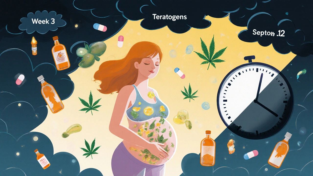 Pregnancy and Medications: What You Need to Know About Teratogenic Risks and Birth Defects